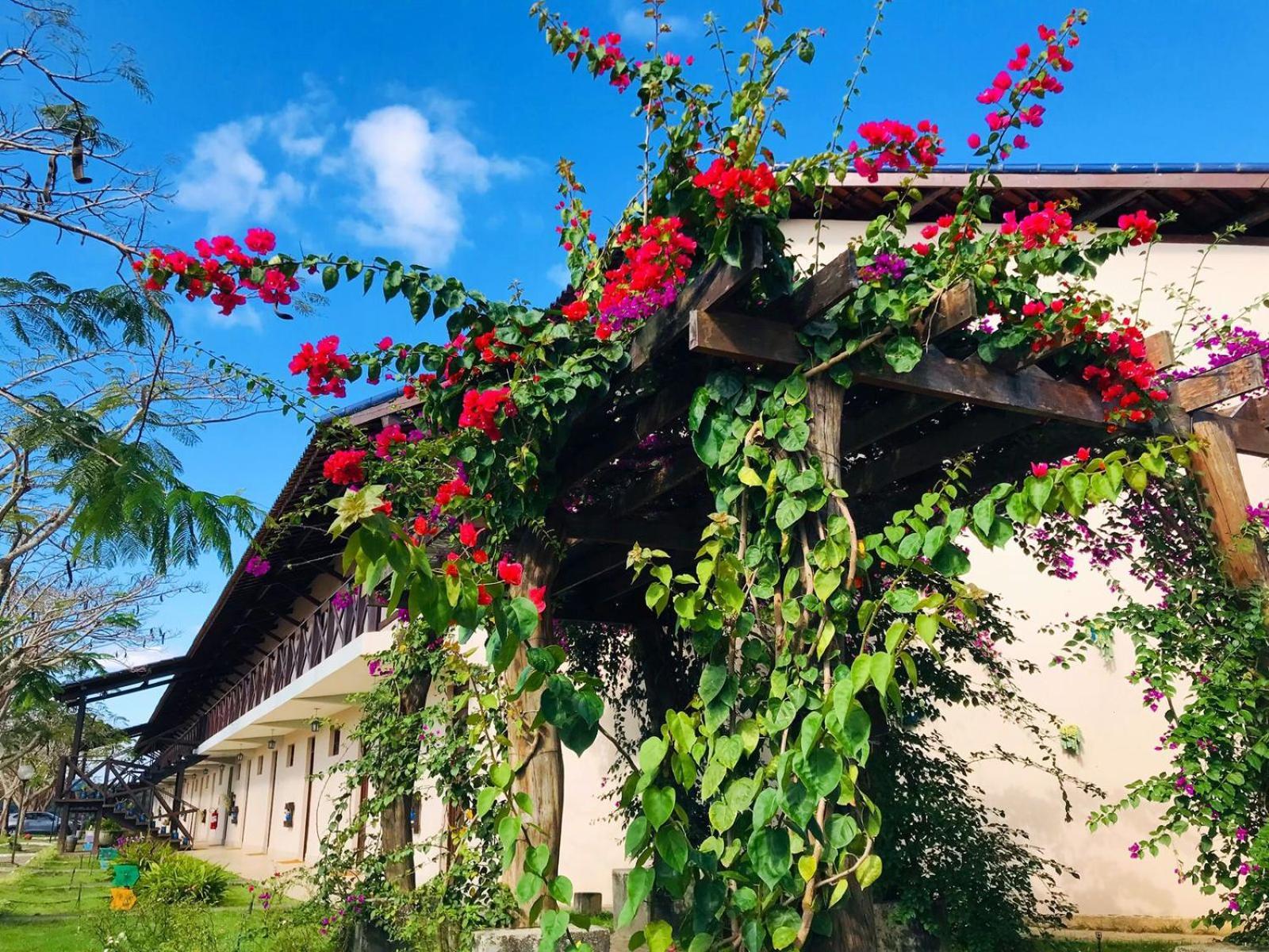 Hotel Fazenda Triunfo Areia Exterior photo